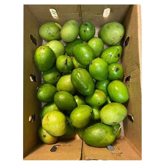 Raw Mango - 5 Kg