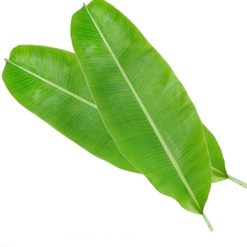 Banana leaves 5 stk