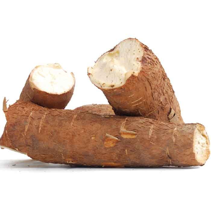 Cassava