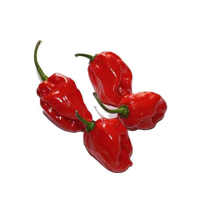Chili Habanero 100g