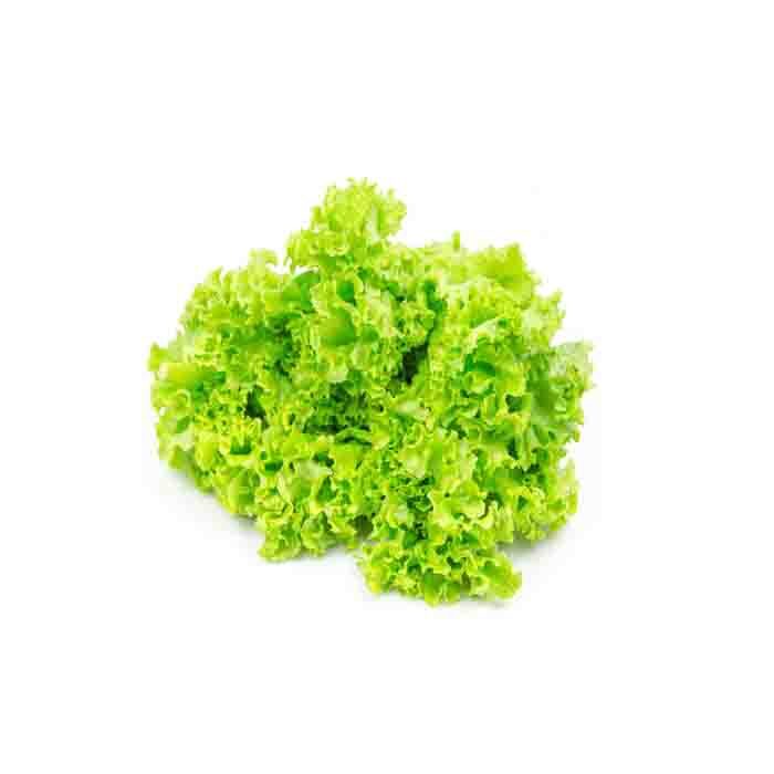 CrispSalat Pakka 1pcs