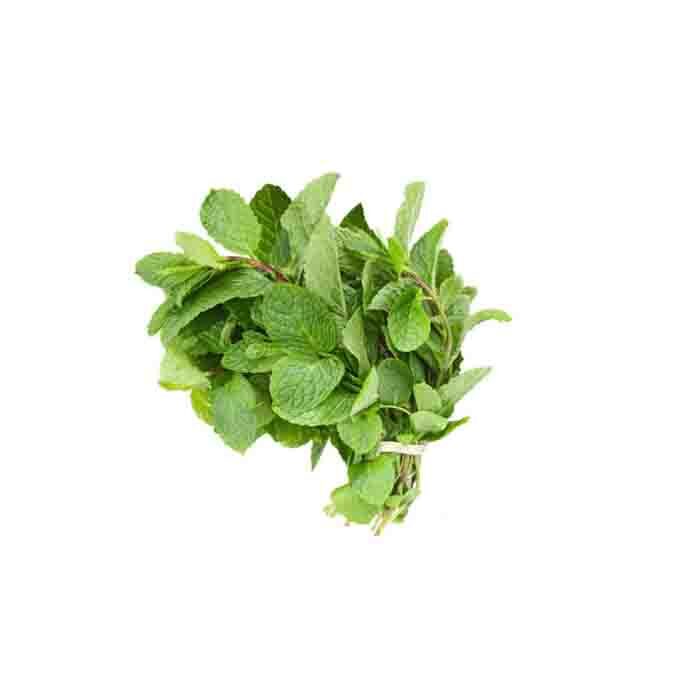 Fresh Mint box