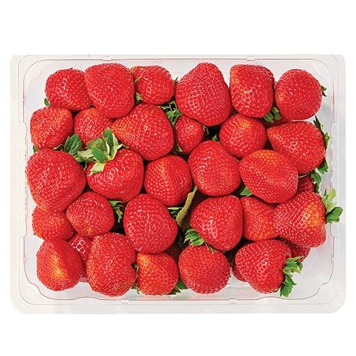 Jordbaer-Strawberry-pkt