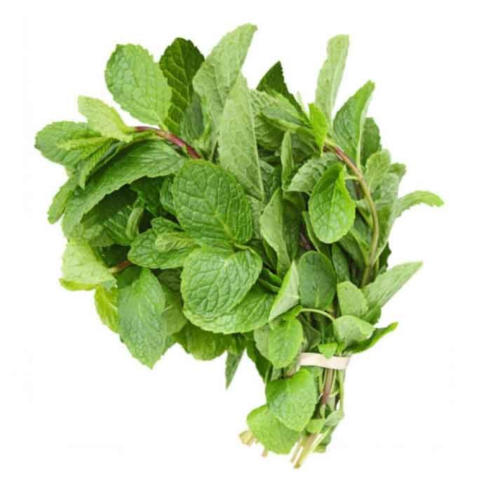Mint bunt - Mynt Bunt - Pudhina bundle