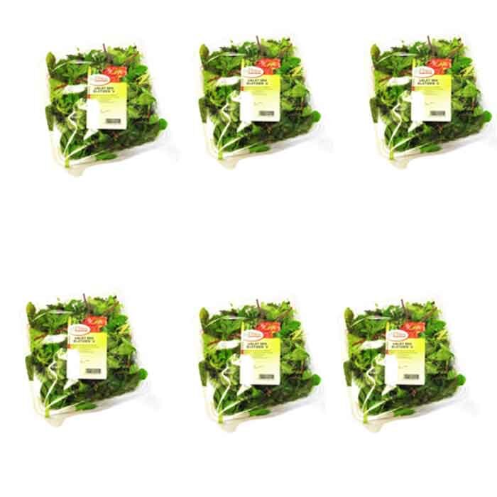 Mix Lettuce - Elstoen 250gx6