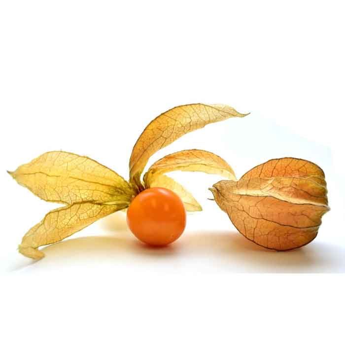 Physalis 1krt