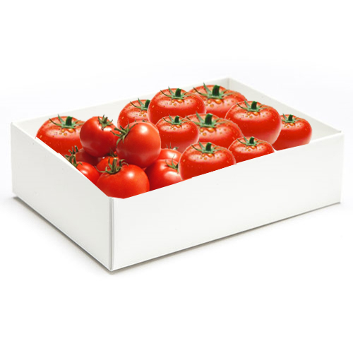 TOMATO - 6 KG