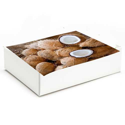 FreshCoconut