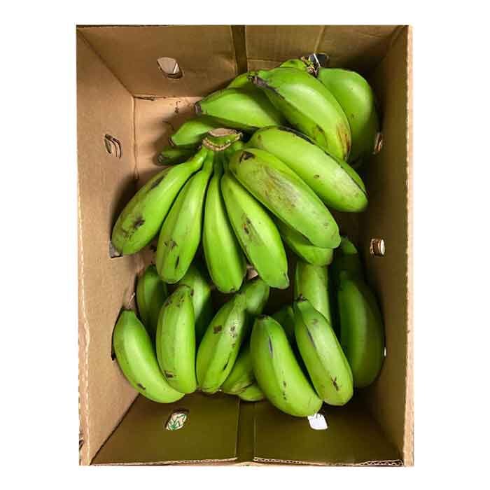 Matokka - Raw Banana - 5kg - Uganda/Kenya