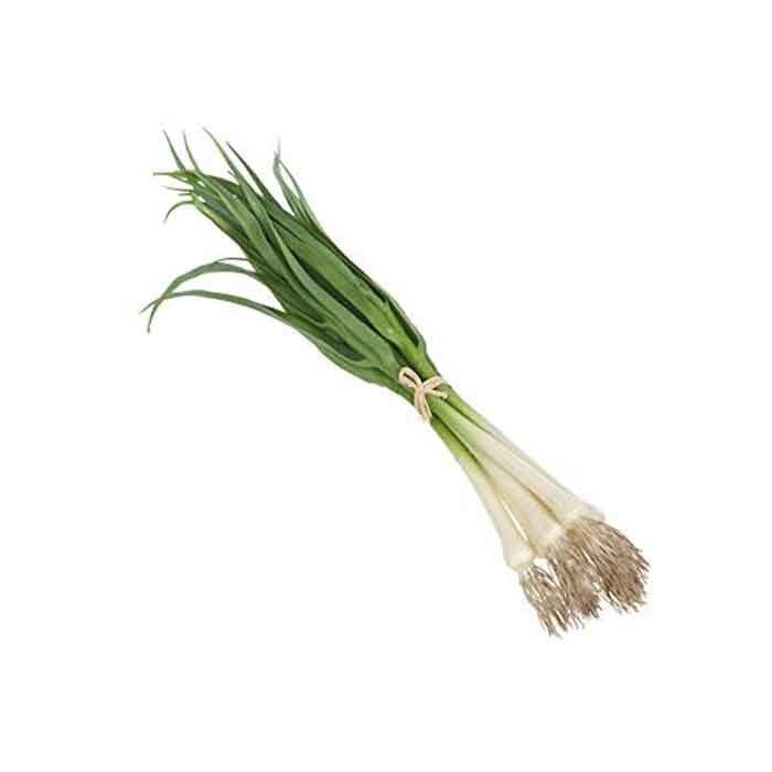 Spring Onion - Vårløk bunt